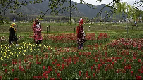 Indira Gandhi Memorial Tulip Garden