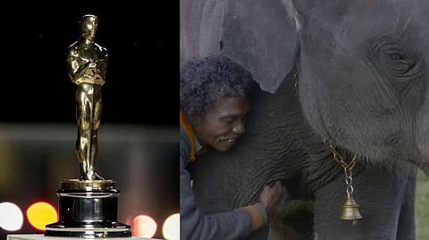 The Elephant Whisperers