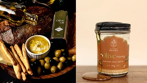 How Jaypore Olives Is Taking The Olives Of Rajasthan To The World