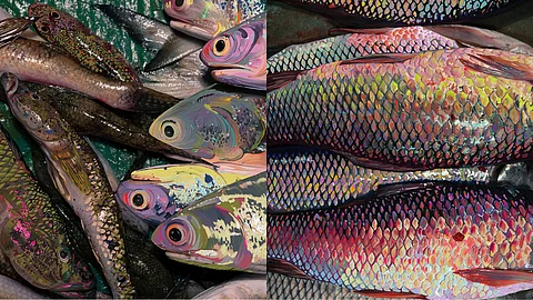 Pallavi Chattoraj Illustrates Discrimination Through The Allegory Of A Fish Market