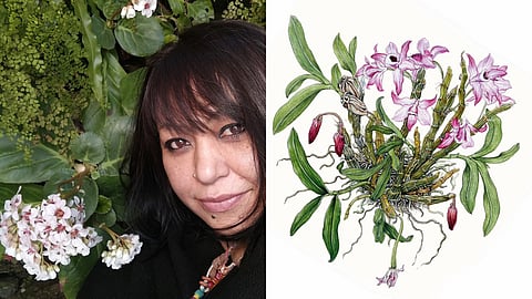 Hemlata Pradhan has carved her own path as a remarkable botanical artist and dedicated art teacher.
