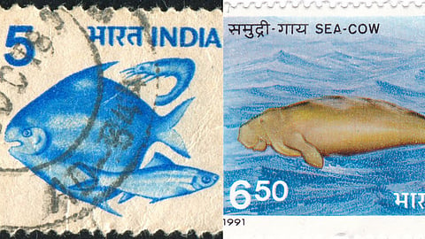 A Rare Indian Stamp Photoseries Is  Emphasizing Ethical Fishing & Ocean Sustainability