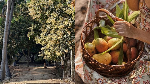 Embrace The Art Of Slow Living At This Picturesque Homestay In Andhra Pradesh