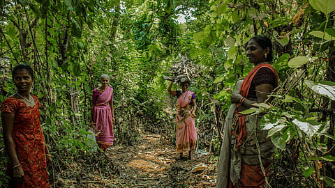 The Aarey Cultural Experience Is A Gateway To Mumbai’s Indigenous Traditions 