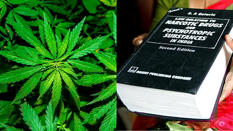 A helpful primer to marijuana laws in India.