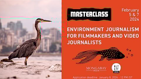 Environment Journalism for Filmmakers and Video Journalists
