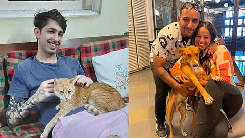 "Ban The Breeders": 6 Indians Tell Us How Adopting A Pet Changed Their Lives 