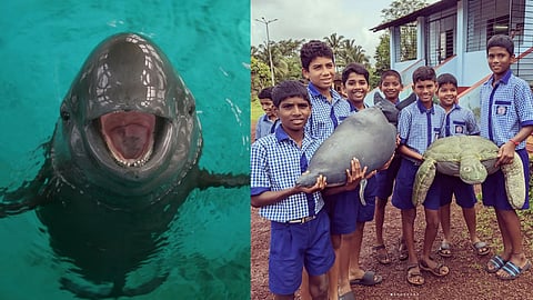 Terra Conscious is a socially responsible conservation initiative that specialises in educational marine and coastal experiences, along with impactful social programs.