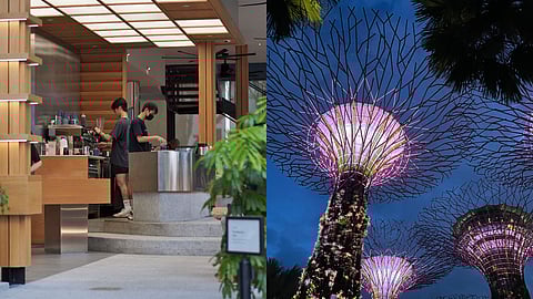 A Homegrown 12-Hour Guide To Singapore