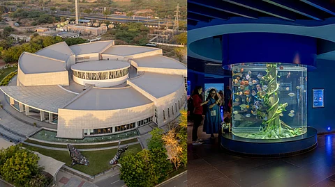 The Aquatic Gallery is part of the sprawling 200 acres that makes up Science City.