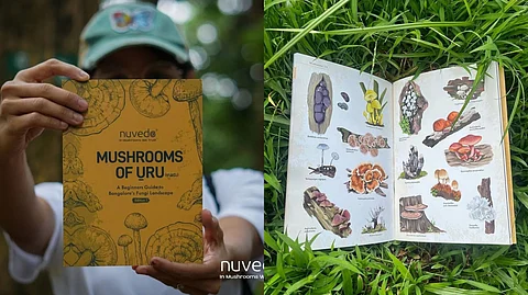 A Mushrooms of Uru Field Guide