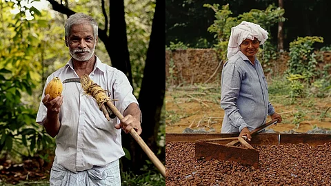 Images of farmers at Mason & Co.'s cacao plantation.