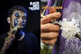 This Week In Culture