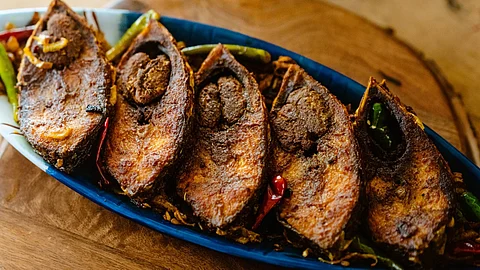 Hilsa Fish