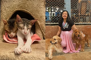 Here’s a list of places across India where animal lovers can destress with some furry companions, even if you don’t have a pet of your own!