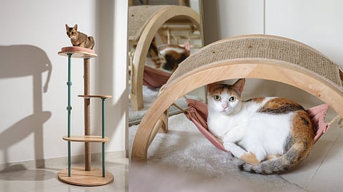 Furmaish's Pet Furniture Is Designed To Make Your Furry Friends Feel Right At Home