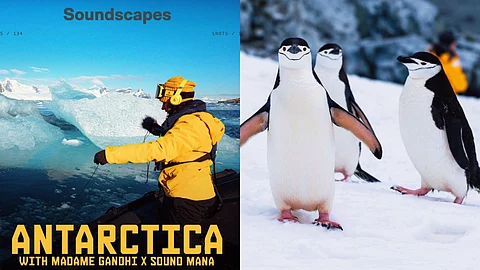 Madame Gandhi's Sample Pack Of Sounds From Antarctica Aims To Inspire Climate Action