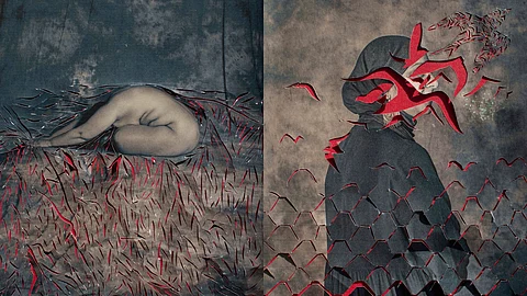 Stills from Sujata Setia's exhibition 'A Thousand Cuts'