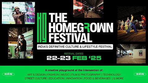 Promotional images from previous editions of the Homegrown Festival.