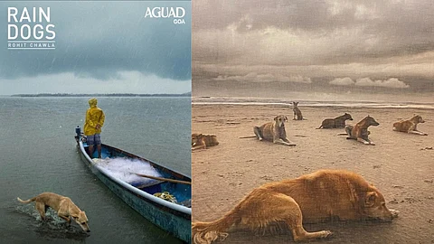Stills from Rohit Chawla's photobook, 'Rain Dogs'.