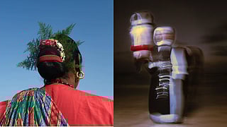 Photo Exhibitions At The Homegrown Festival 2025