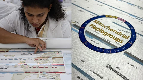 'Genes Mundi' Combines Science & Craft To Trace The World's Matrilineal Lineage