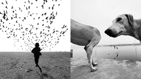 Pure Street Photography (PSP) is a global platform committed to uplifting underrepresented voices in street photography,