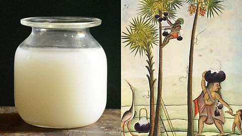 Taari, a fermented palm toddy, is a Parsi pantry staple. Tapping this toddy is a fading art.