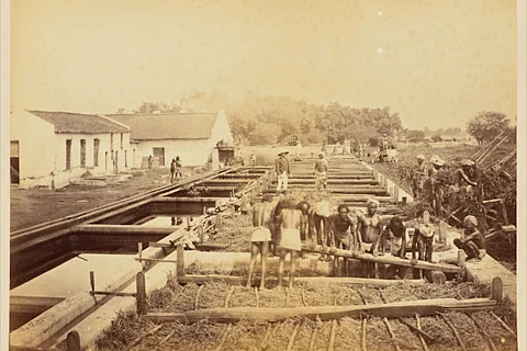 All images in this piece were taken by Oscar Mallitte at an indigo farm in Allahabad (now Prayagraj) in 1877.