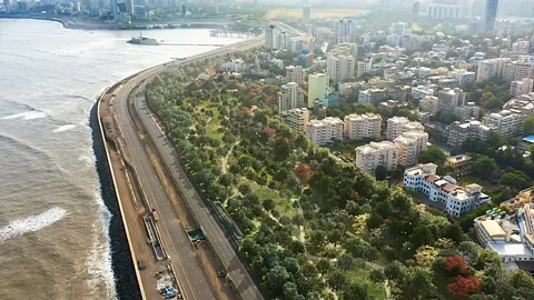 The Mumbai Coastal Forest Project is an initiative that's entirely grassroots; cultivated through scientific insight, and public demand.