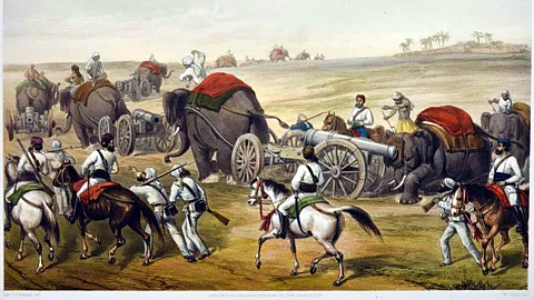 For representational purposes only. Hand coloured Lithographed plates by George Frank Lin Atkison, 1859