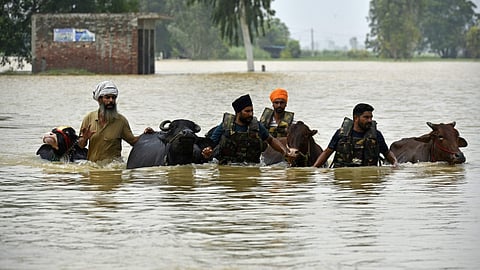 veral districts, including Ludhiana, Patiala, and Amritsar, have recorded unusually heavy downpours in recent days, making this one of the wettest Augusts in decades.