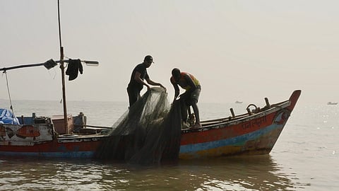 What gives the Mumbai Koli Project its urgency is the recognition that urban life is deeply entangled with cultural identity, ecological justice, and indigenous food systems.