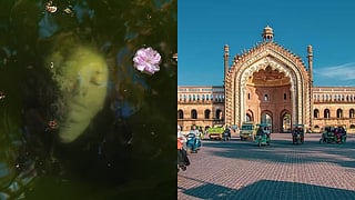 The Homegrown Culture Bulletin