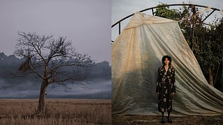 This Week In Culture