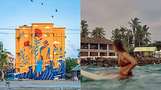 This Homegrown Culture Bulletin