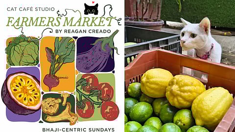 Curated farmers' market at Versova’s Cat Café Studio in Mumbai, buy local vegetables and produce, and potentially adopt a cat