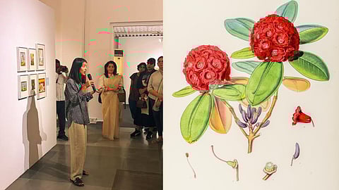 ‘Paper Gardens: Art, Botany and Empire’ is on view at the Museum of Art and Photography, Bengaluru, tracing the link between botanical art and colonialism