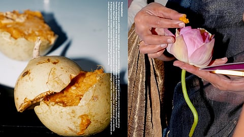 The identity of a place is shaped through the relationships between people, plants, animals, and the environment they inhabit.