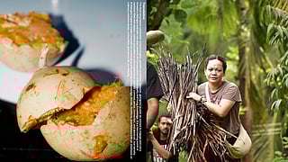 The Homegrown Culture Bulletin