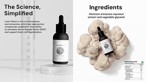 The Ancient Remedy In A Dropper Bottle: Meet India's 1st Homegrown Mushroom Extract Lab