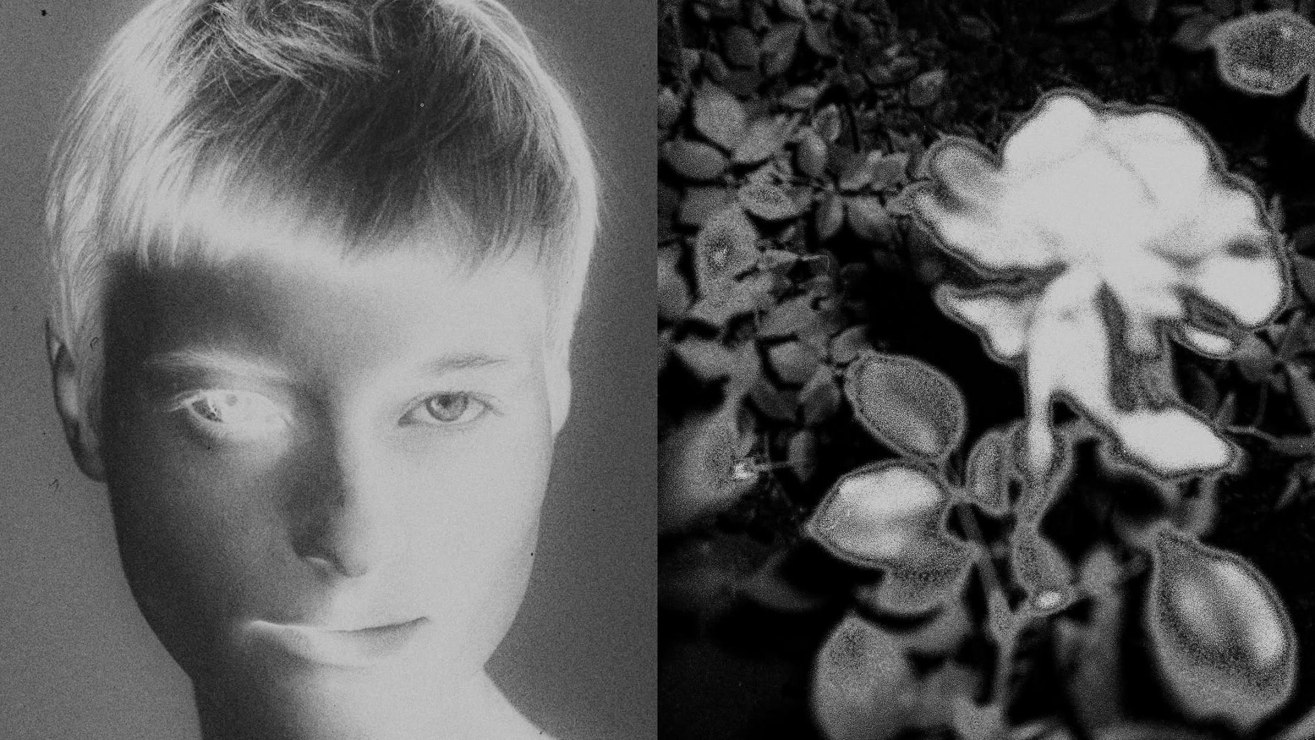 Kira Issar’s image-making practice engages with ecofeminism, personal memory, and the politics of the body through photography and publishing.