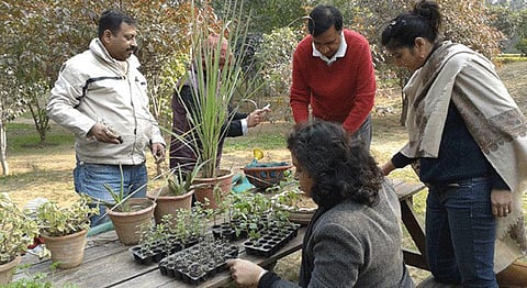 Learn To Grow Your Own Food At This Kitchen Garden Workshop In Bangalore — Sign Up Now