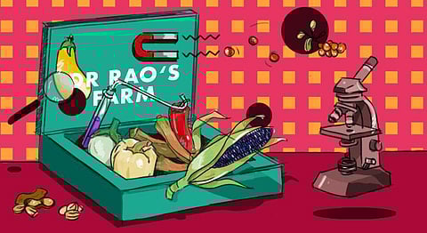 Rare Indian Vegetables Are Being Revived In Dr. Rao’s Backyard