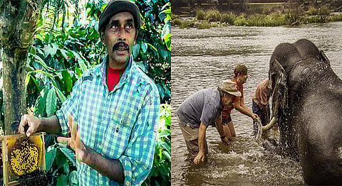 This Unique Camp In Coorg Combines Bee Keeping & Elephant Visits
