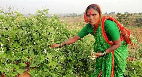 ‘Seed Mother’ – An Indian Farmer’s Story Of Preserving Indigenous Seeds Wins Third Prize At Cannes