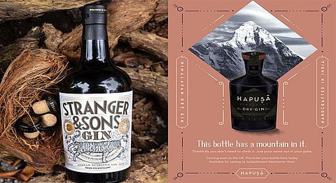 Drink Up - Here Are Some Of The Best Homegrown Gin Brands!