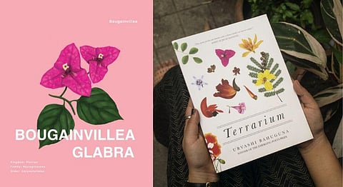 Discover The Extraordinary Botanical Illustrations Of This Young Graphic Designer