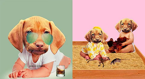 ‘Kutte Ka Baccha’ Is A Hilariously Absurd Instagram Page You Need To Follow 