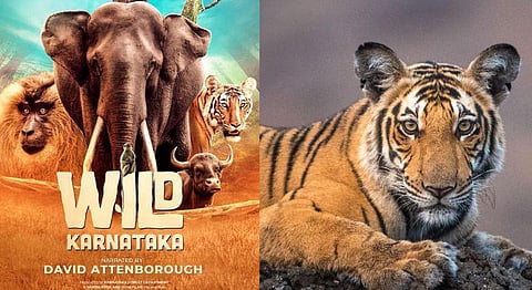 Wild Karnataka: India’s First Blue Chip Nature Documentary Captures the Spirit of Wilderness